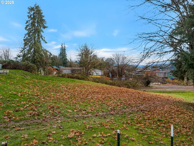 $65,000 | 23352 Adj To Columbia Street, Vernonia, OR 97064