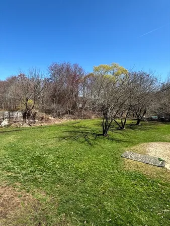 a view of grassy field with trees