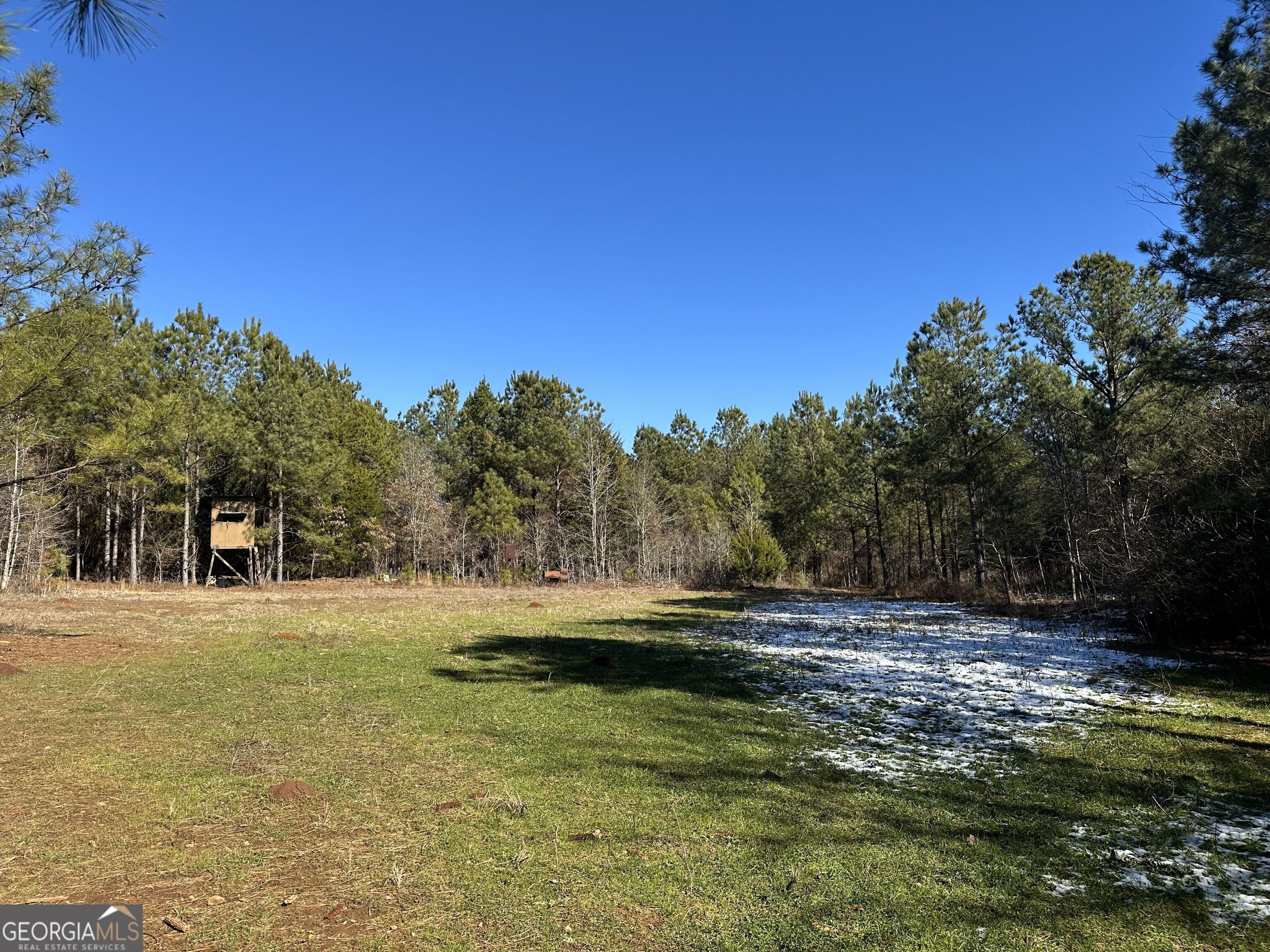 7800 Veazey Road White Plains, GA 30678 - Photo 12 of 24 a view of dirt field with trees in the background