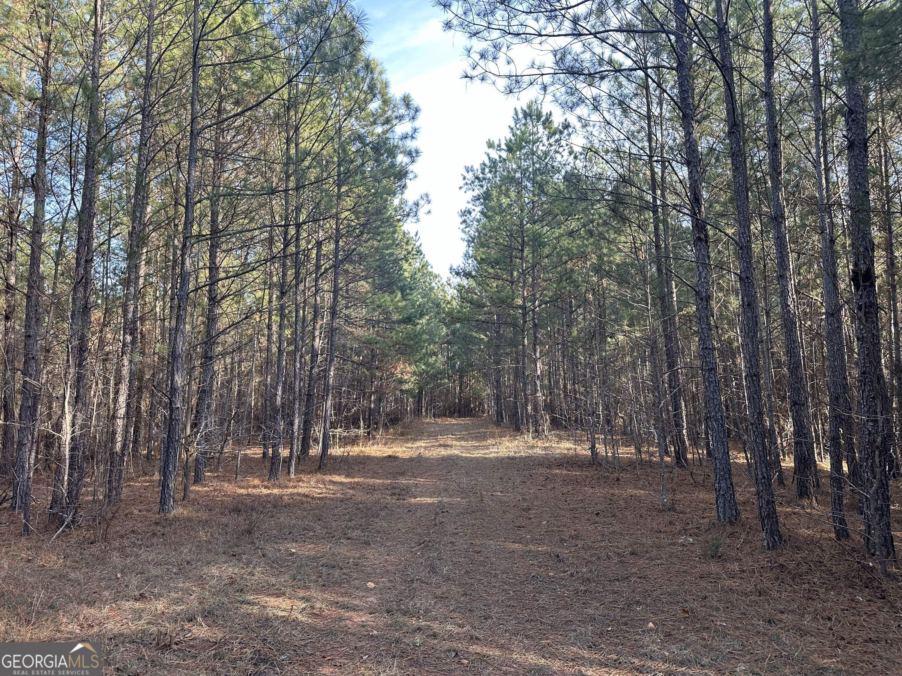7800 Veazey Road White Plains, GA 30678 - Photo 6 of 24 a view of road with trees