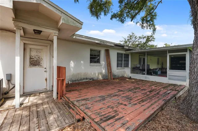 a backyard of a house with plants and large tree