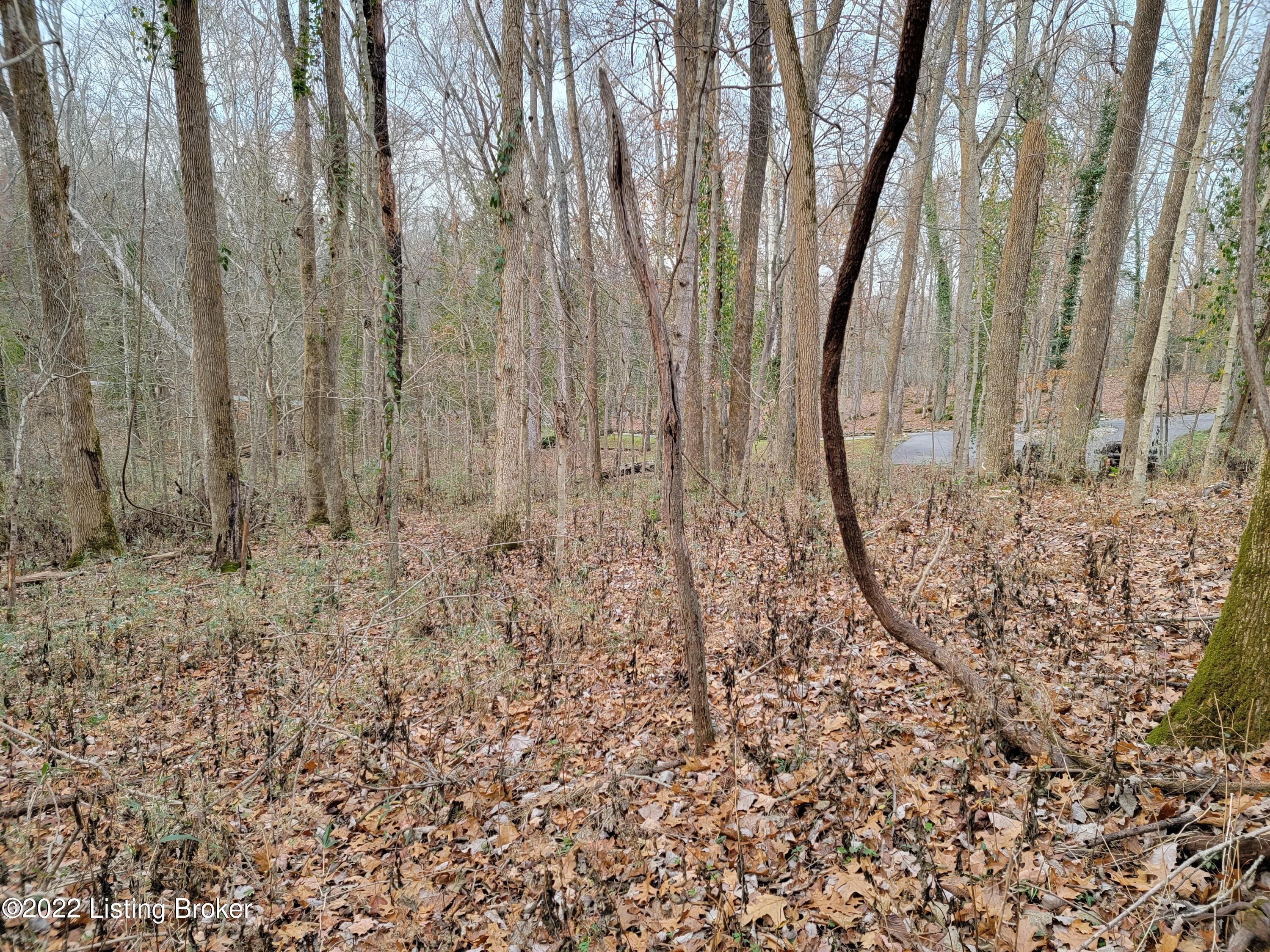 8010 Wolf Pen Branch Road Prospect, KY 40059 - Photo 23 of 34 20211127_163811
