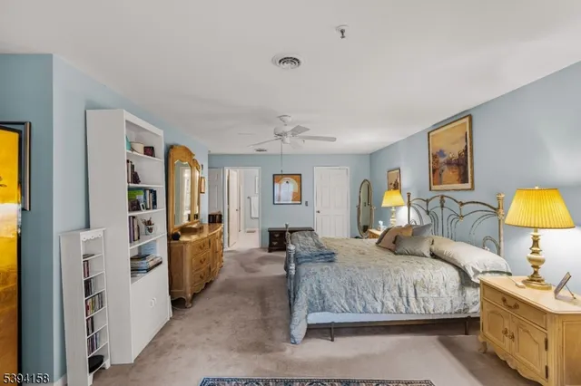 a bedroom with a bed and a walk in closet