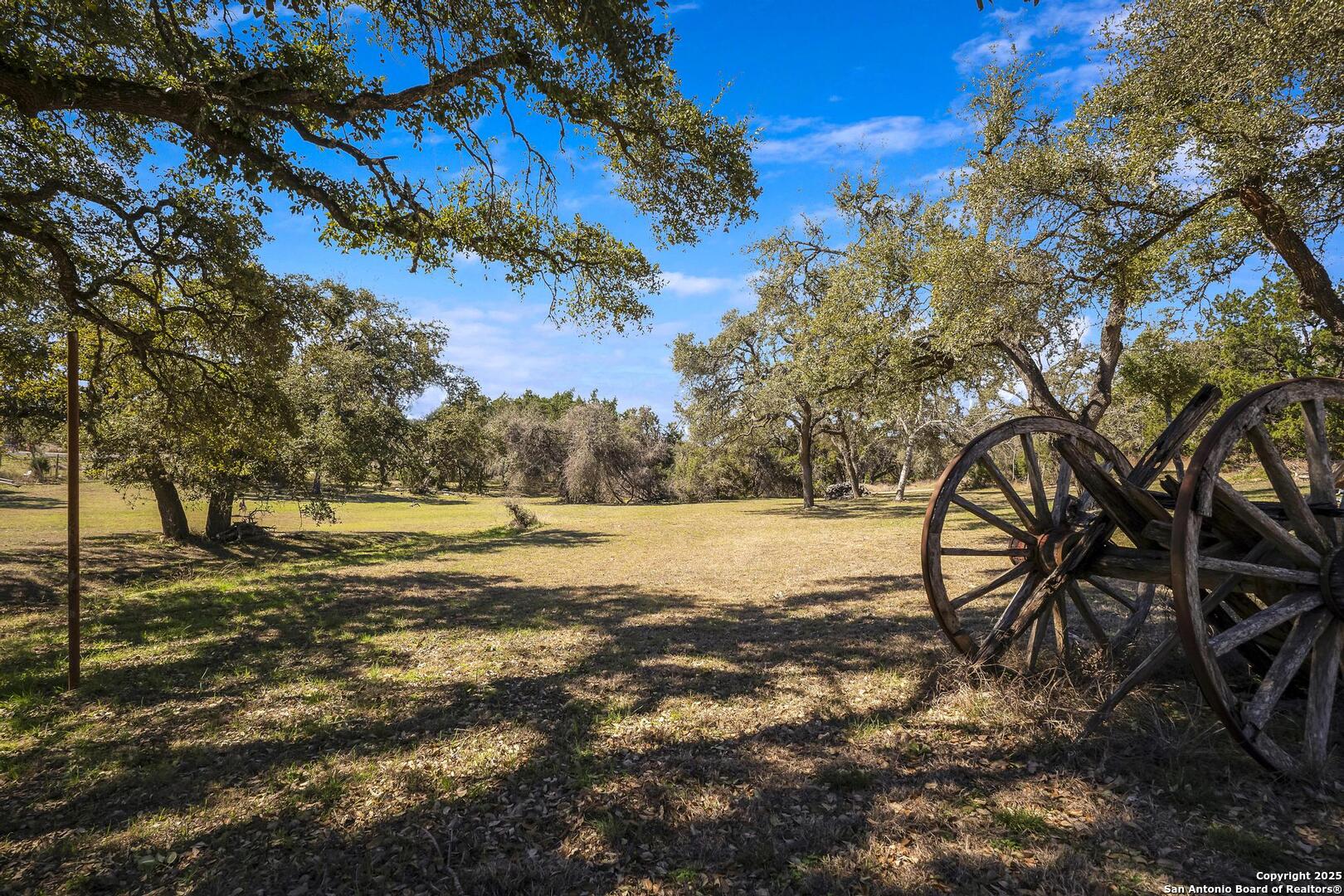 15090 Highway 46 Spring Branch, TX 78070 - Photo 36 of 71