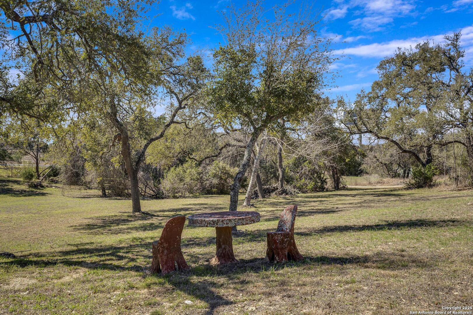 15090 Highway 46 Spring Branch, TX 78070 - Photo 37 of 71