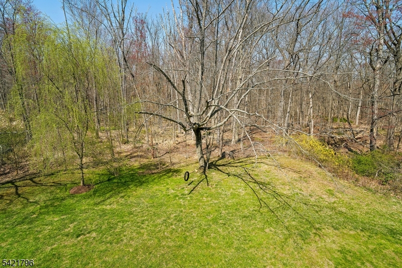 236 Spring Ridge Drive Berkeley Heights, NJ 07922 - Photo 41 of 41