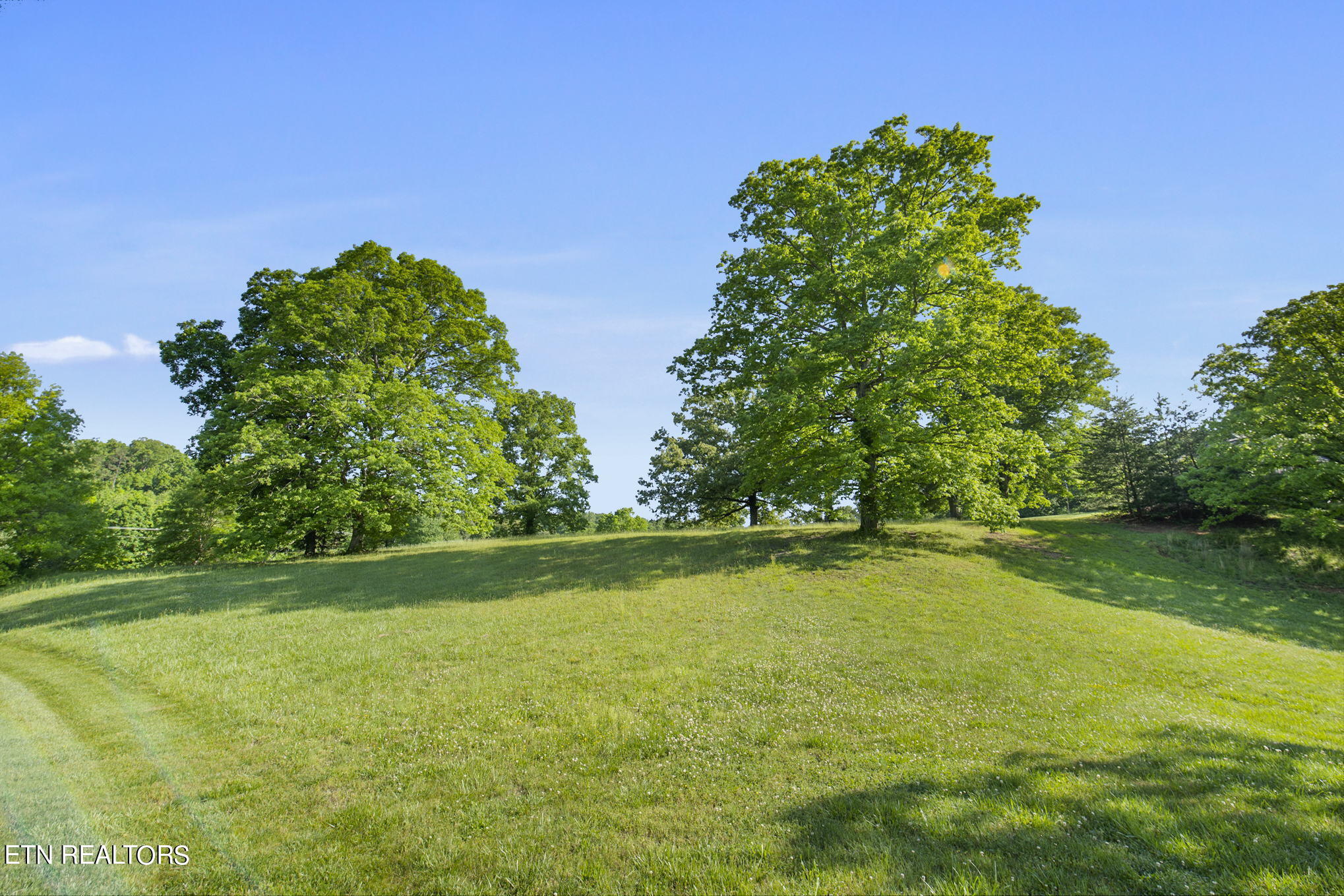 Conkinnon Drive Lenoir City, TN 37772 - Photo 2 of 16 110 Conkinnon Dr