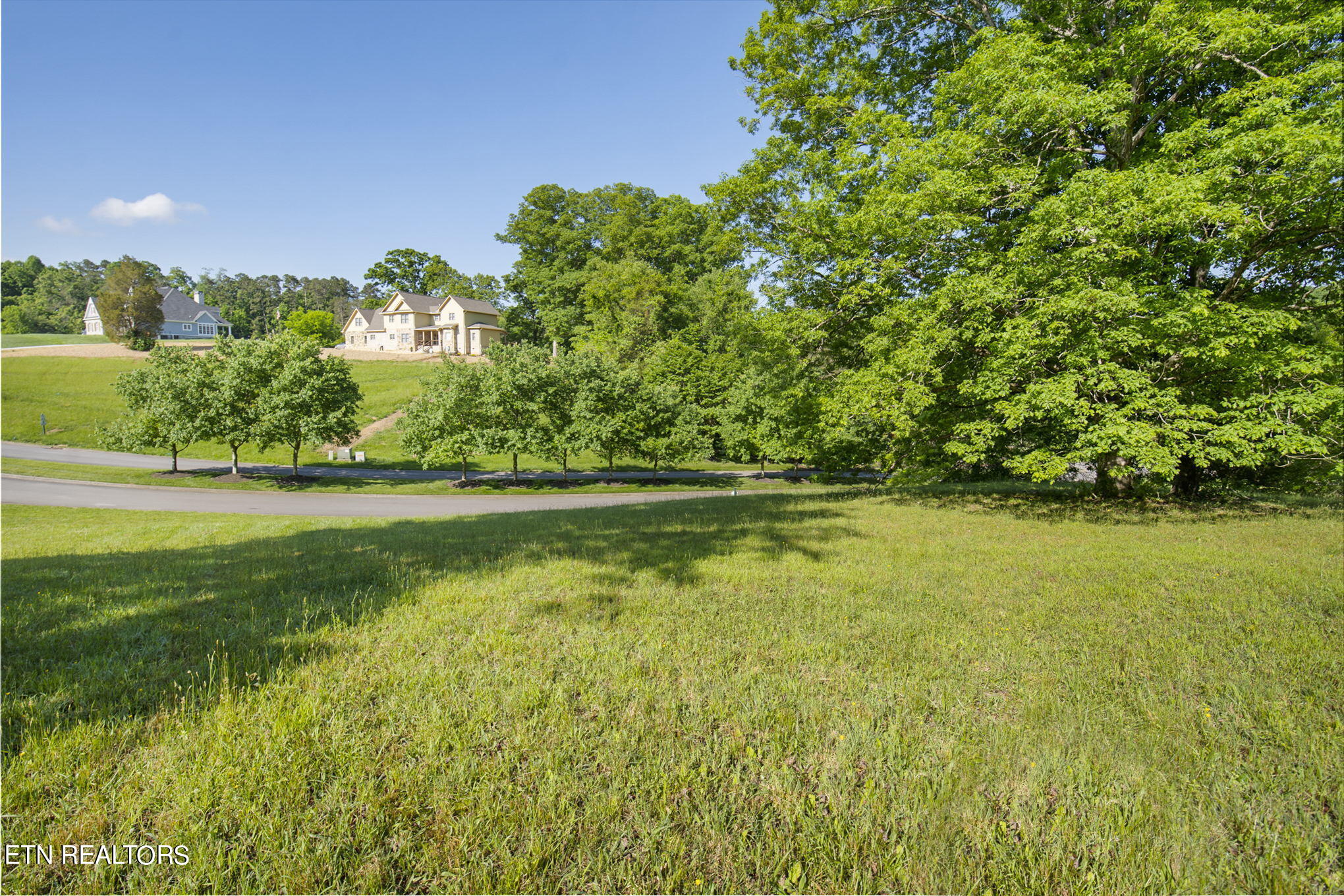 Conkinnon Drive Lenoir City, TN 37772 - Photo 3 of 16 110 Conkinnon Dr
