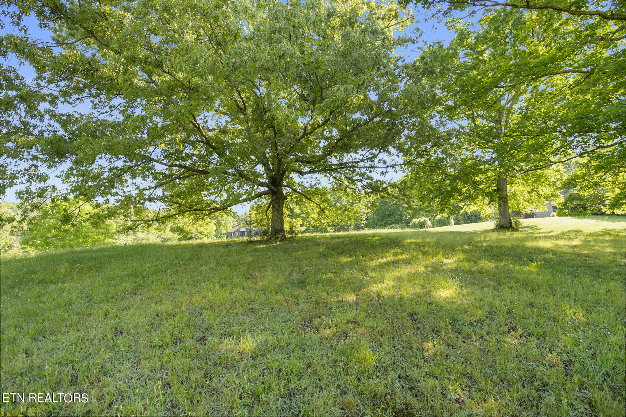 Conkinnon Drive Lenoir City, TN 37772 - Photo 5 of 16 110 Conkinnon Dr
