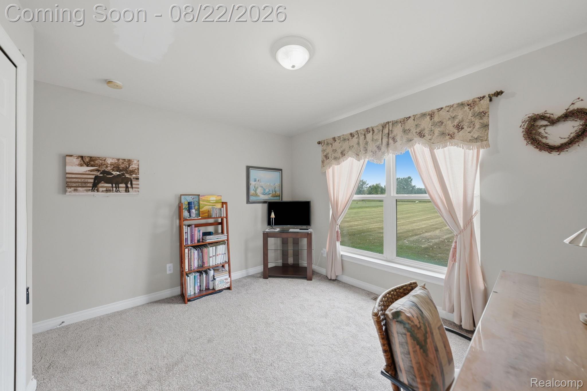 1301 Palms Road Columbus, MI 48063 - Photo 33 of 51 Neutral wall color, carpet flooring, large window, and ceiling-mounted light fixture