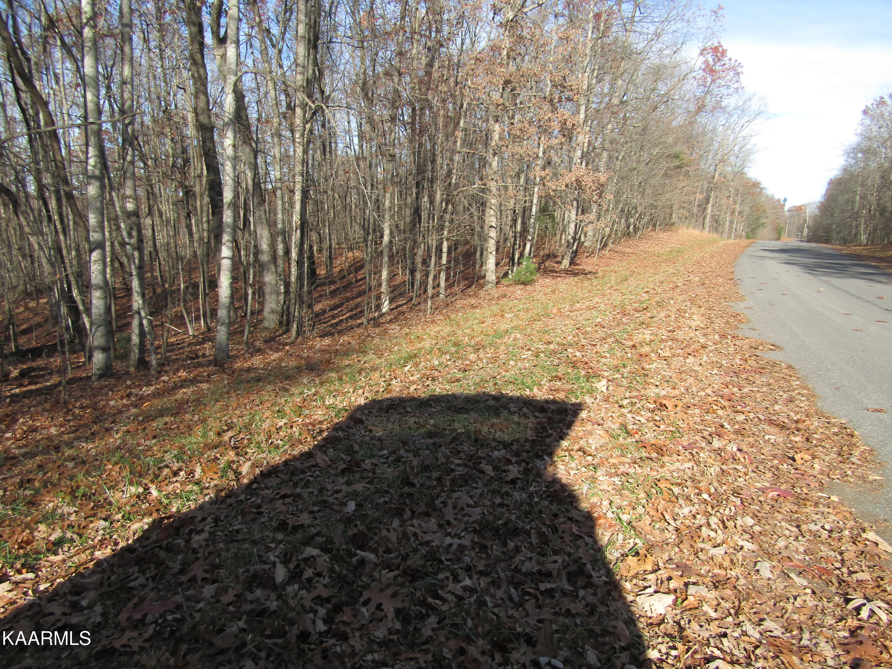 Lot 5 Bow Road Monterey, TN 38574 - Photo 1 of 20 IMG_4979