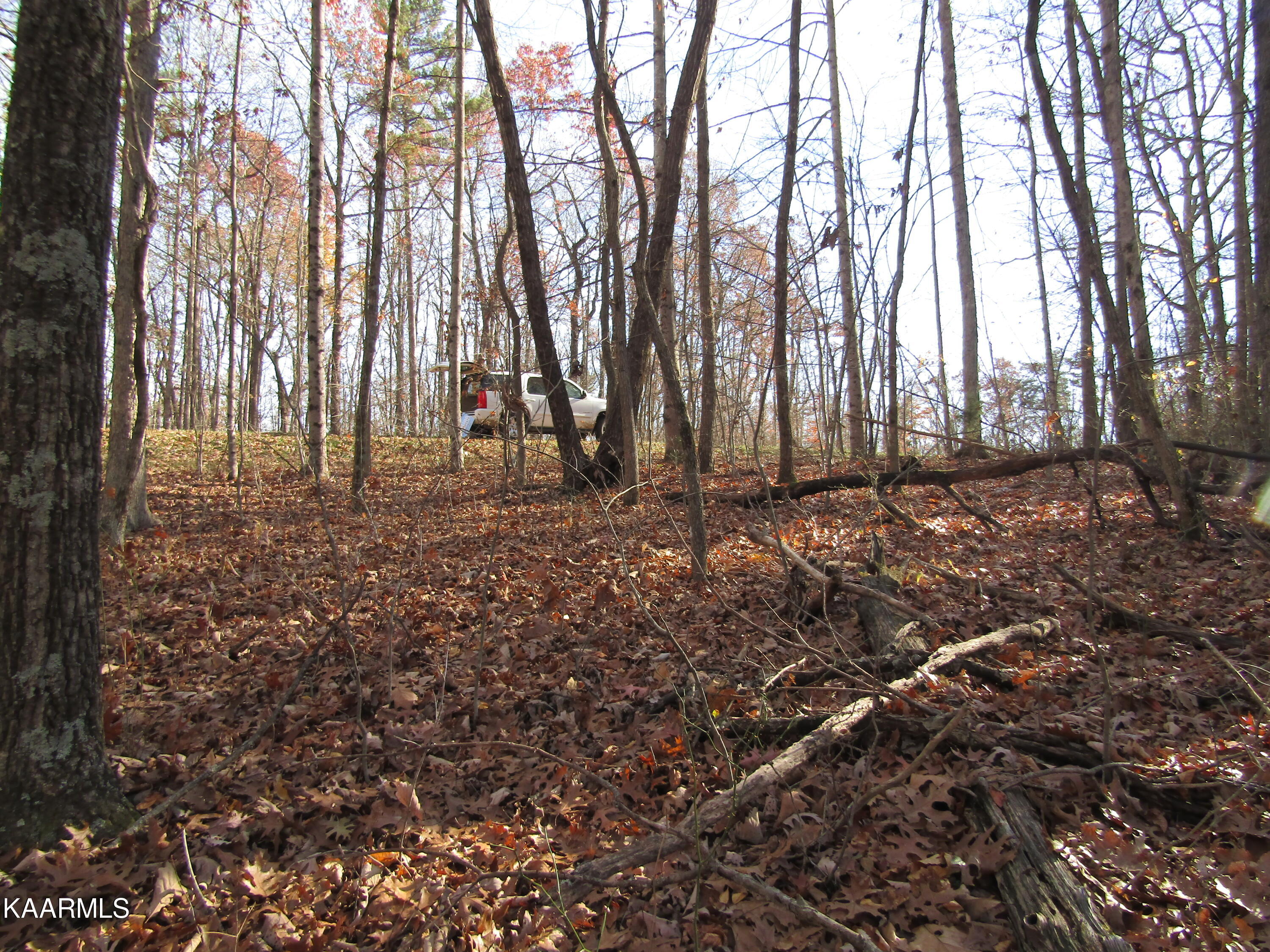 Lot 5 Bow Road Monterey, TN 38574 - Photo 12 of 20 IMG_4990