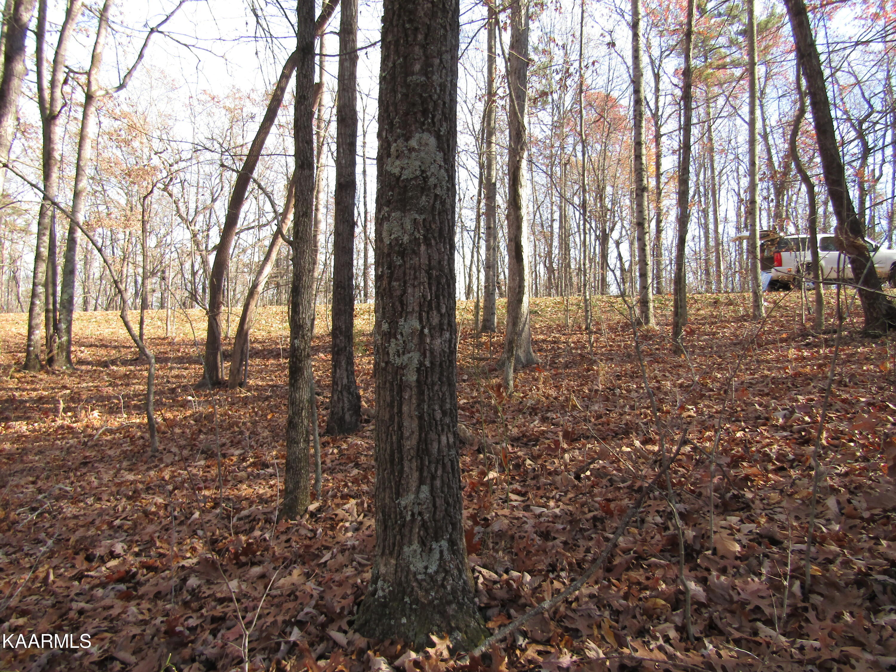 Lot 5 Bow Road Monterey, TN 38574 - Photo 13 of 20 IMG_4991