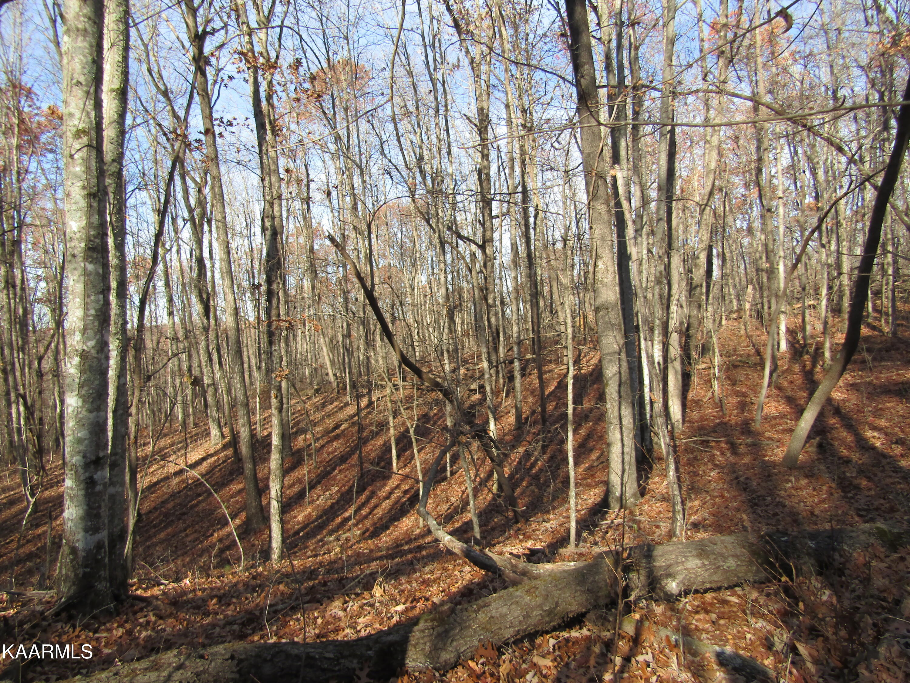 Lot 5 Bow Road Monterey, TN 38574 - Photo 14 of 20 IMG_4992