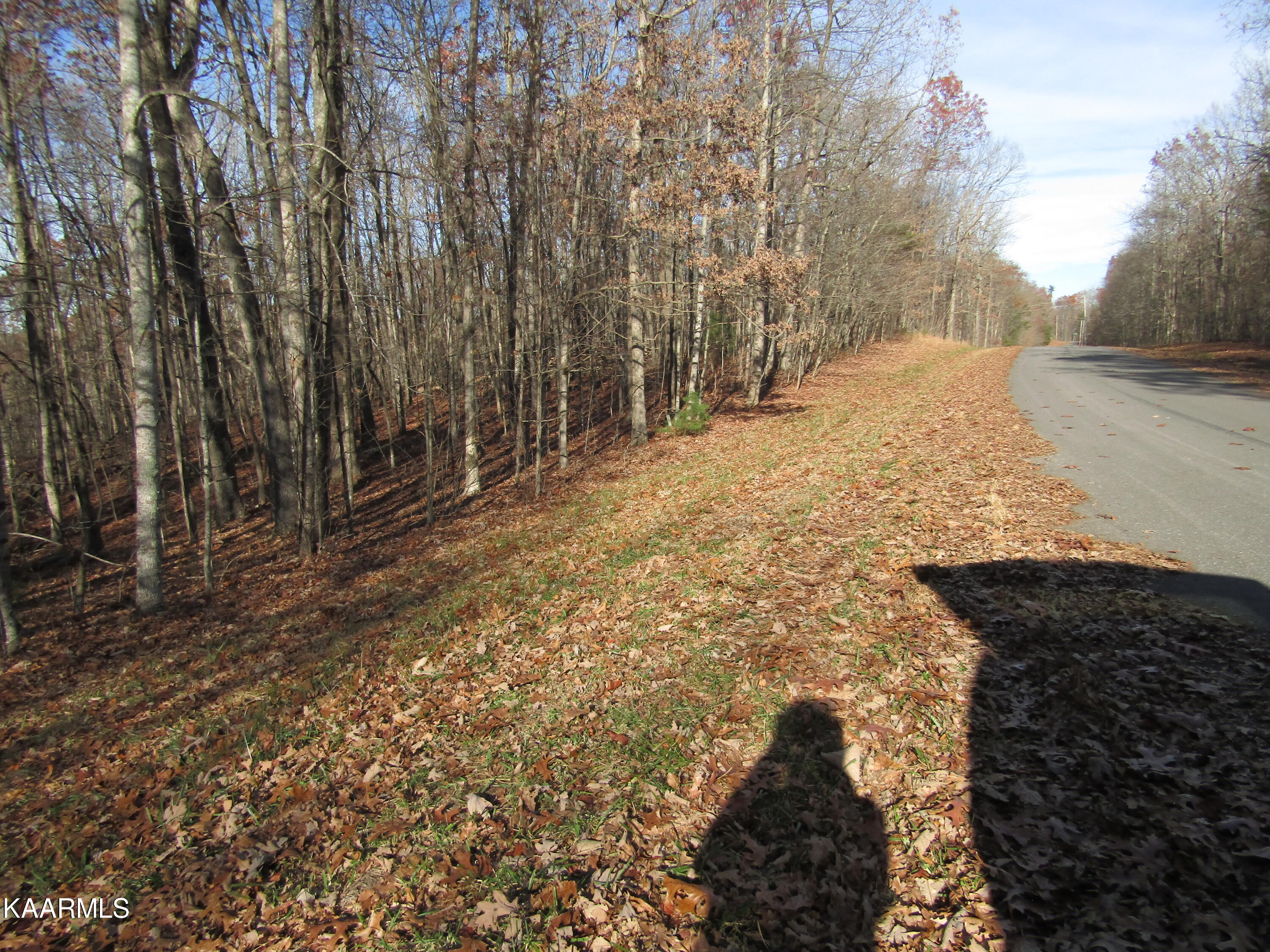 Lot 5 Bow Road Monterey, TN 38574 - Photo 15 of 20 IMG_4998