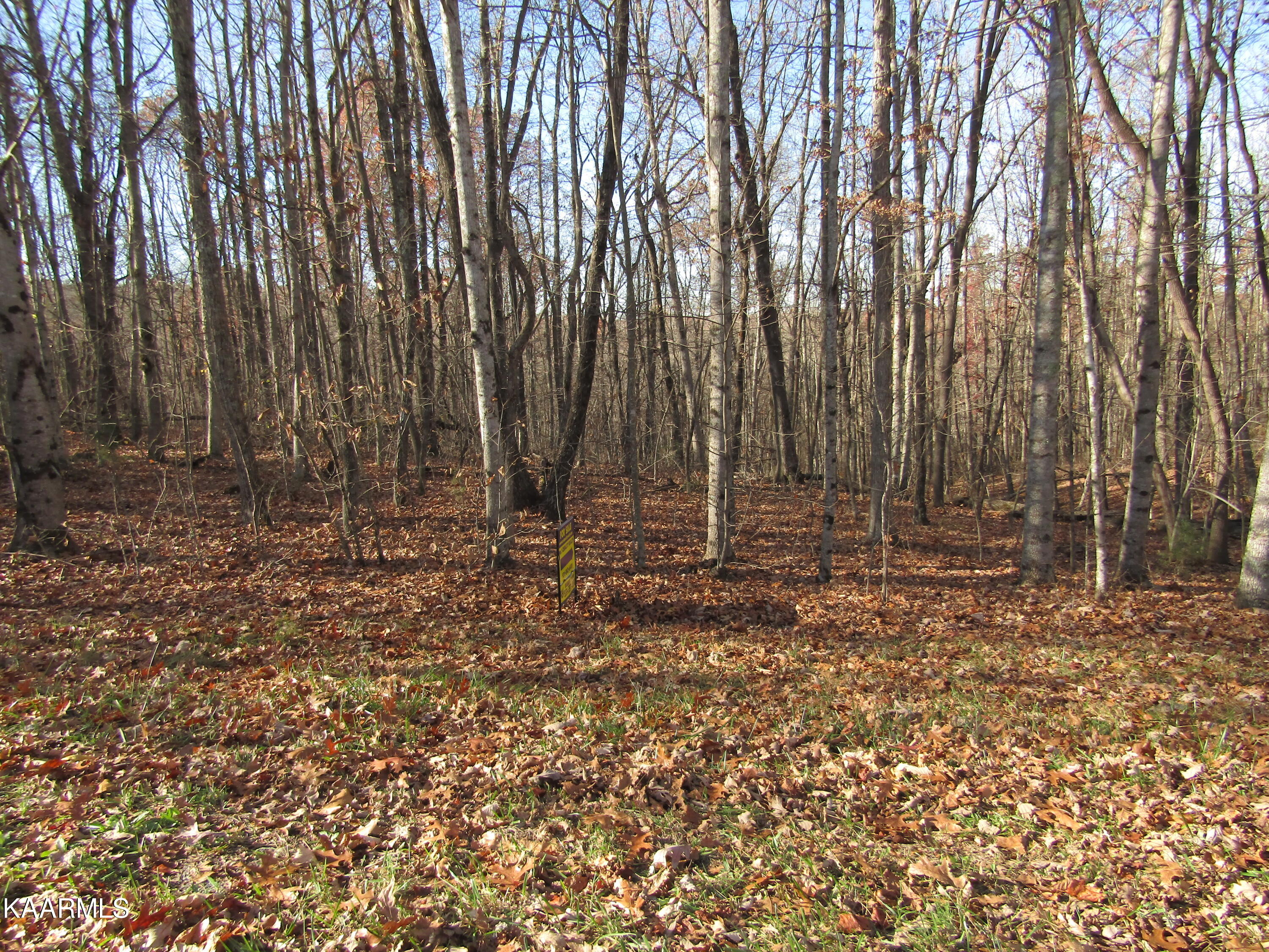 Lot 5 Bow Road Monterey, TN 38574 - Photo 16 of 20 IMG_4999