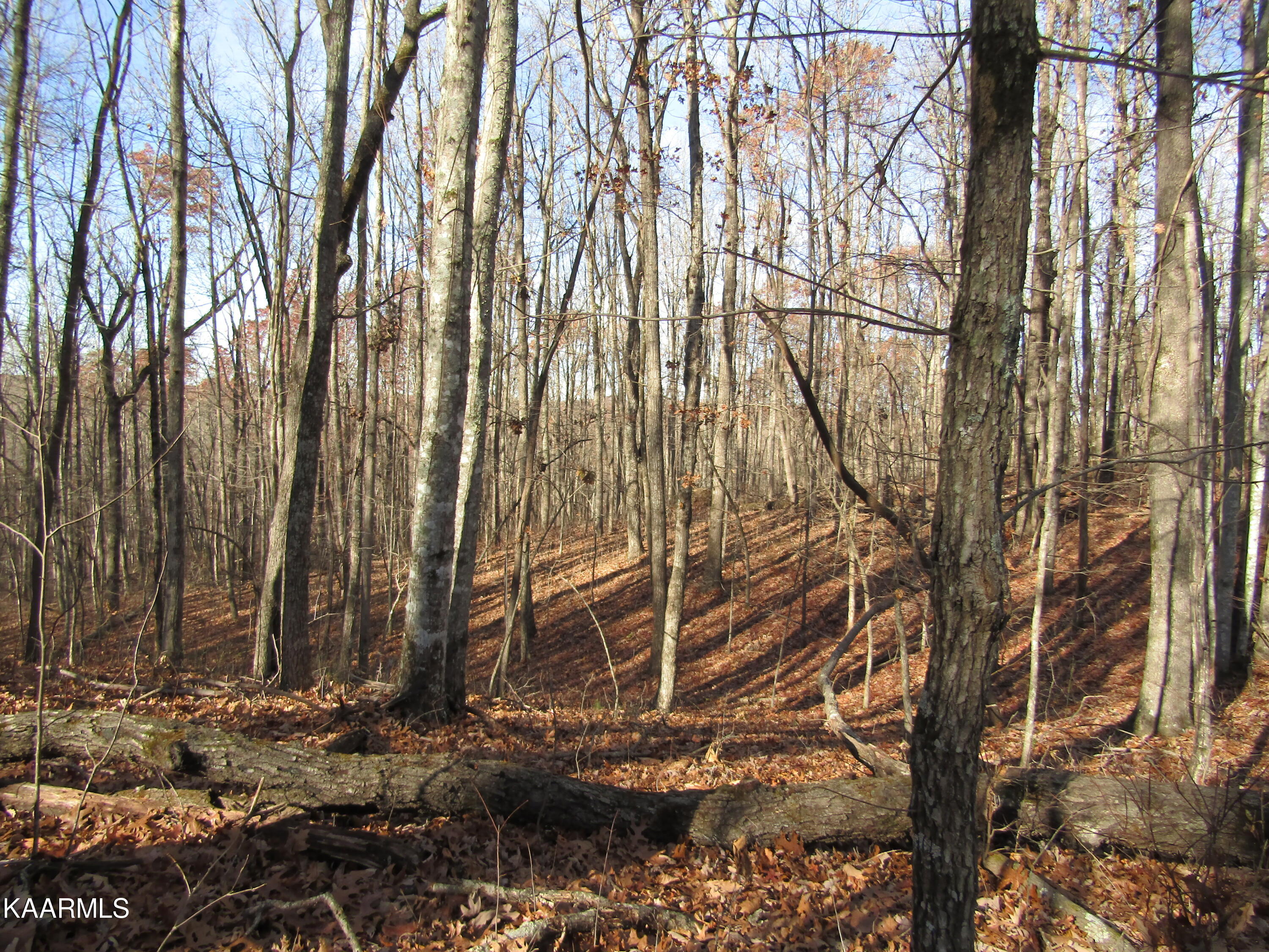 Lot 5 Bow Road Monterey, TN 38574 - Photo 8 of 20 IMG_4986