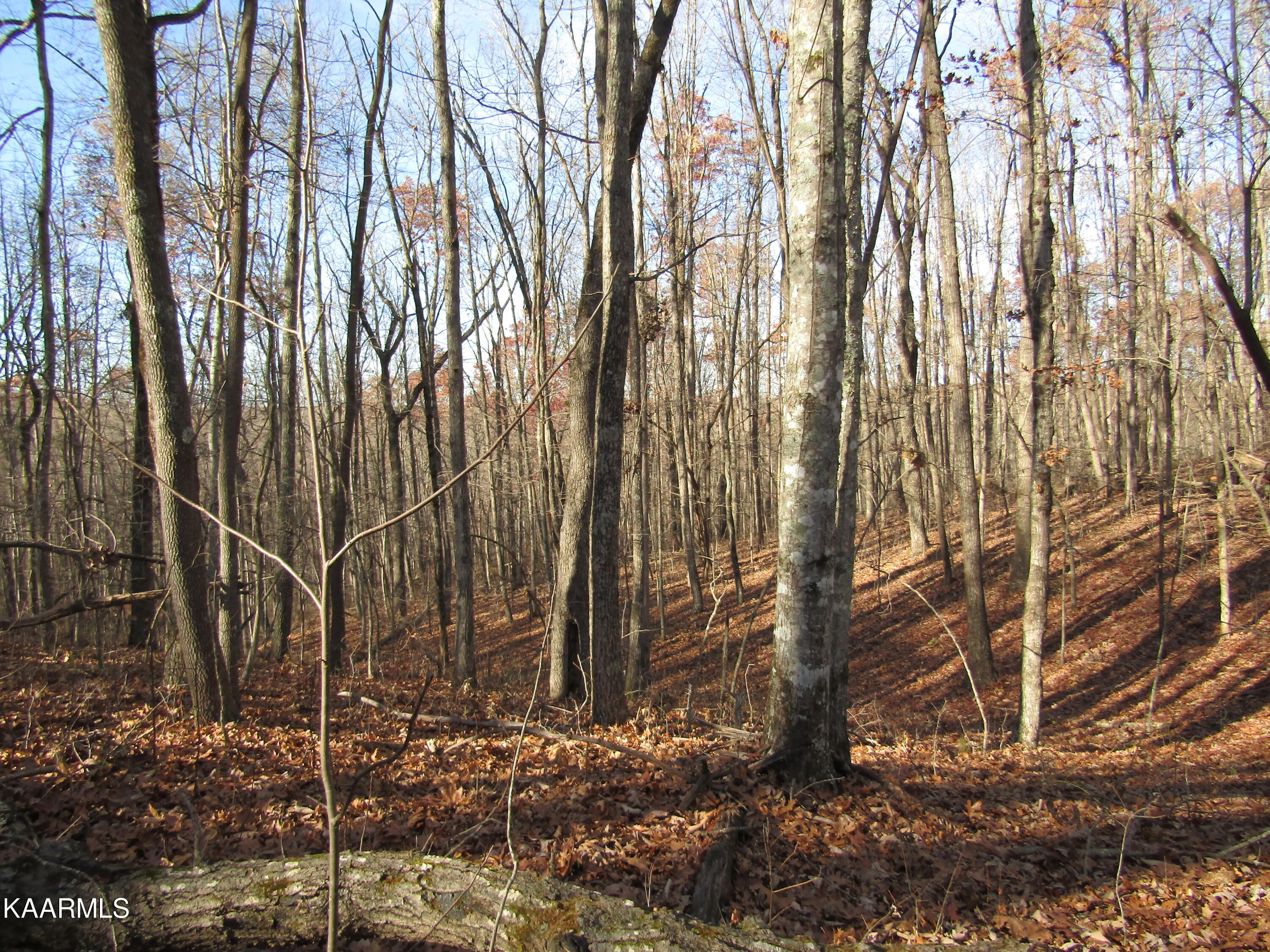 Lot 5 Bow Road Monterey, TN 38574 - Photo 9 of 20 IMG_4987