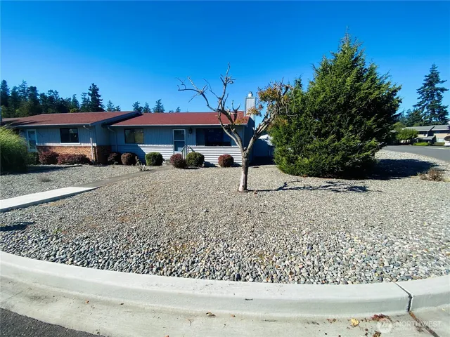 a wooden floor covered with tall trees