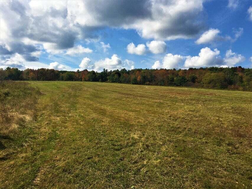 190 Gray Rd Photo 4