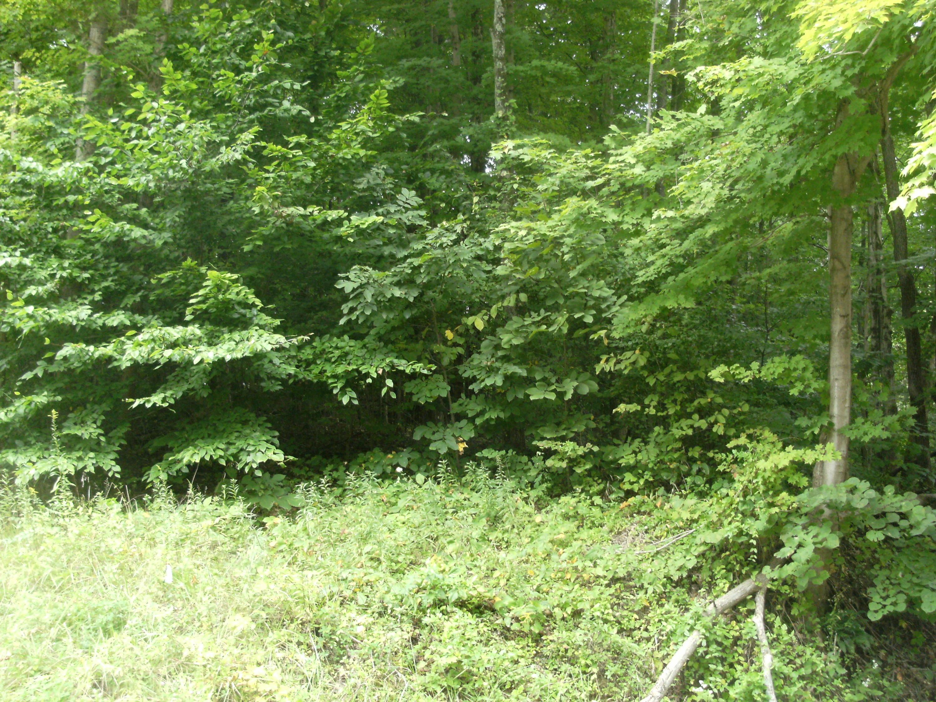 0 Julian Road Northwest Amanda, OH 43102 - Photo 3 of 3 Gallery Image 3