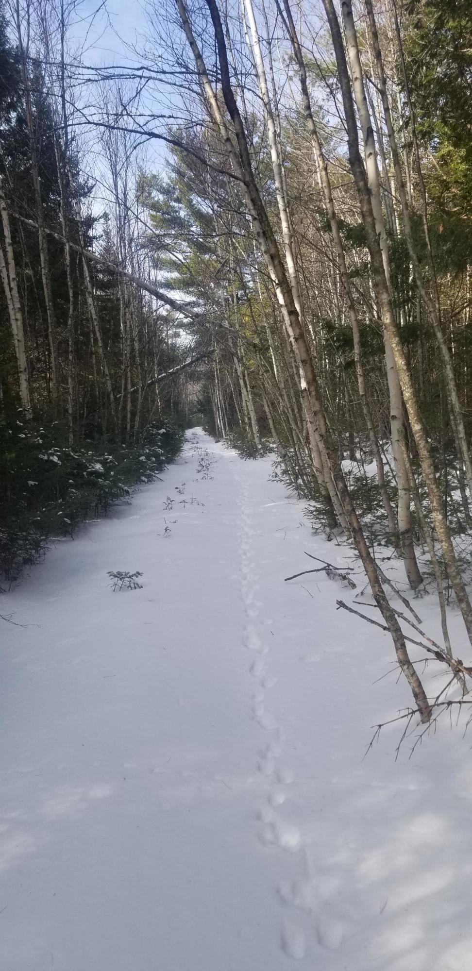 Tbd Smith Road Franklin, ME 04634 - Photo 2 of 11 20210215_094027