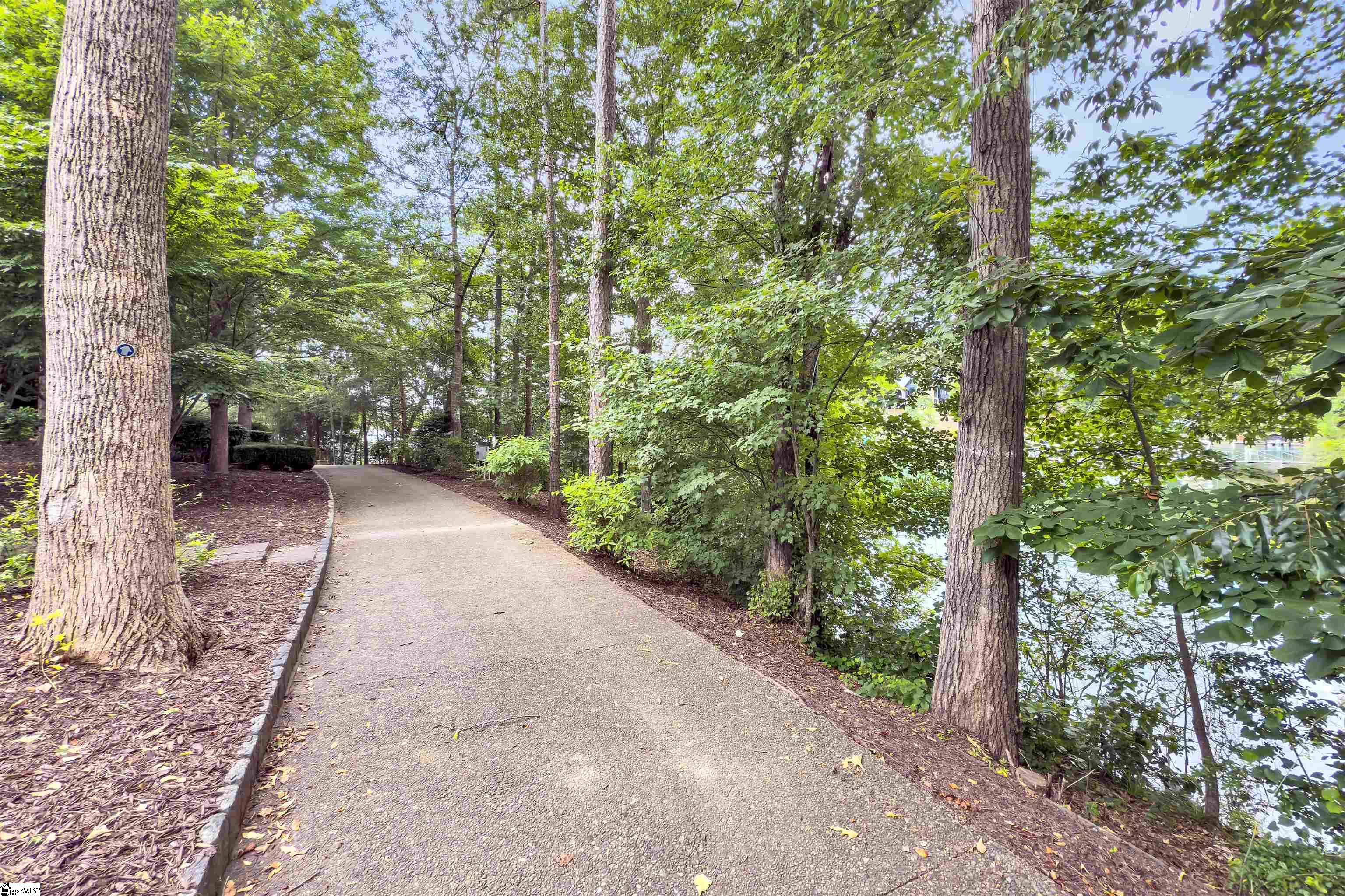 155 Village Point Drive Sunset, SC 29685 - Photo 37 of 47