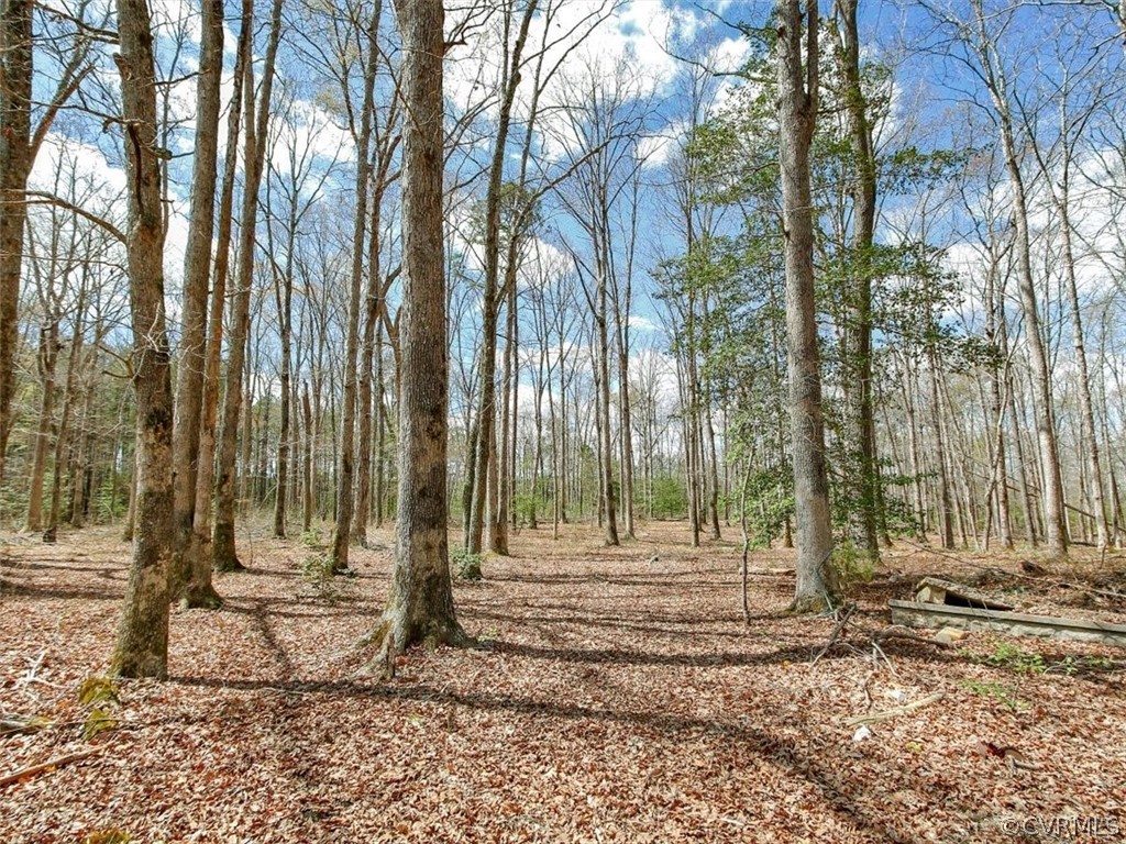 9700 Hines Road Disputanta, VA 23842 - Photo 29 of 29 Gallery Image 29