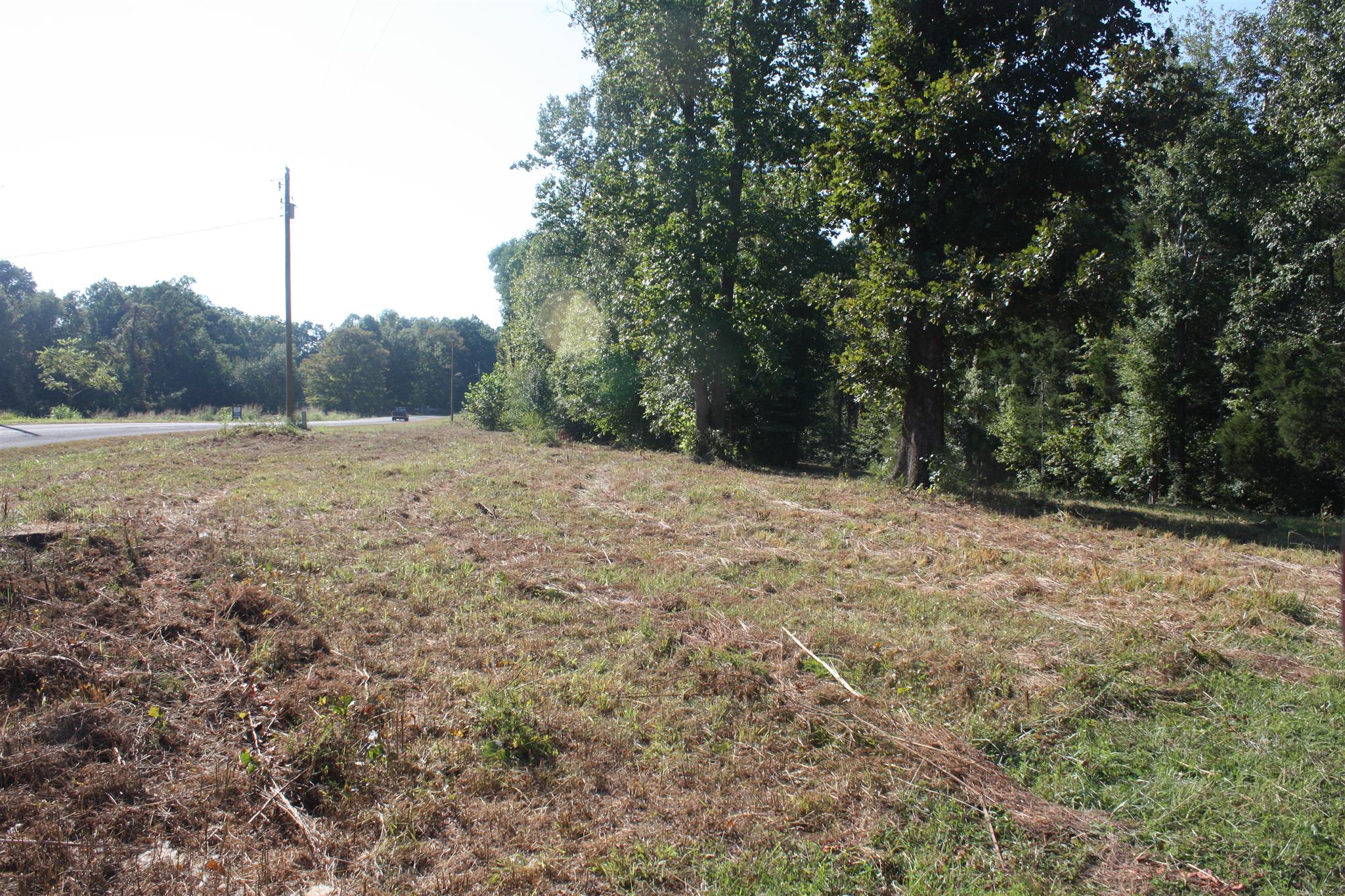 5796 Natchez Trace Road Franklin, TN 37064 - Photo 16 of 26 a view of a yard with a tree