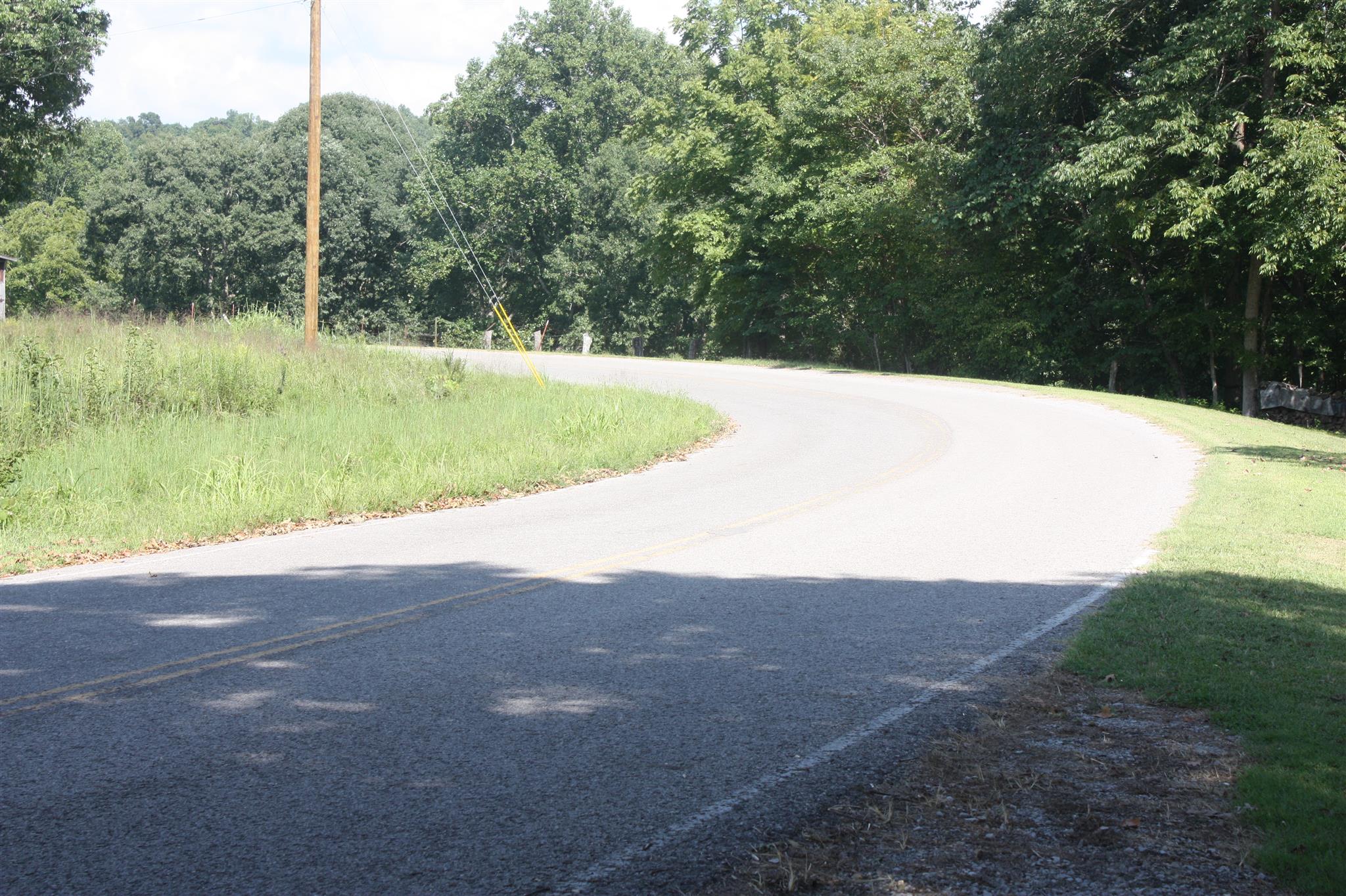 5796 Natchez Trace Road Franklin, TN 37064 - Photo 10 of 26 a view of a field with a tree in the background