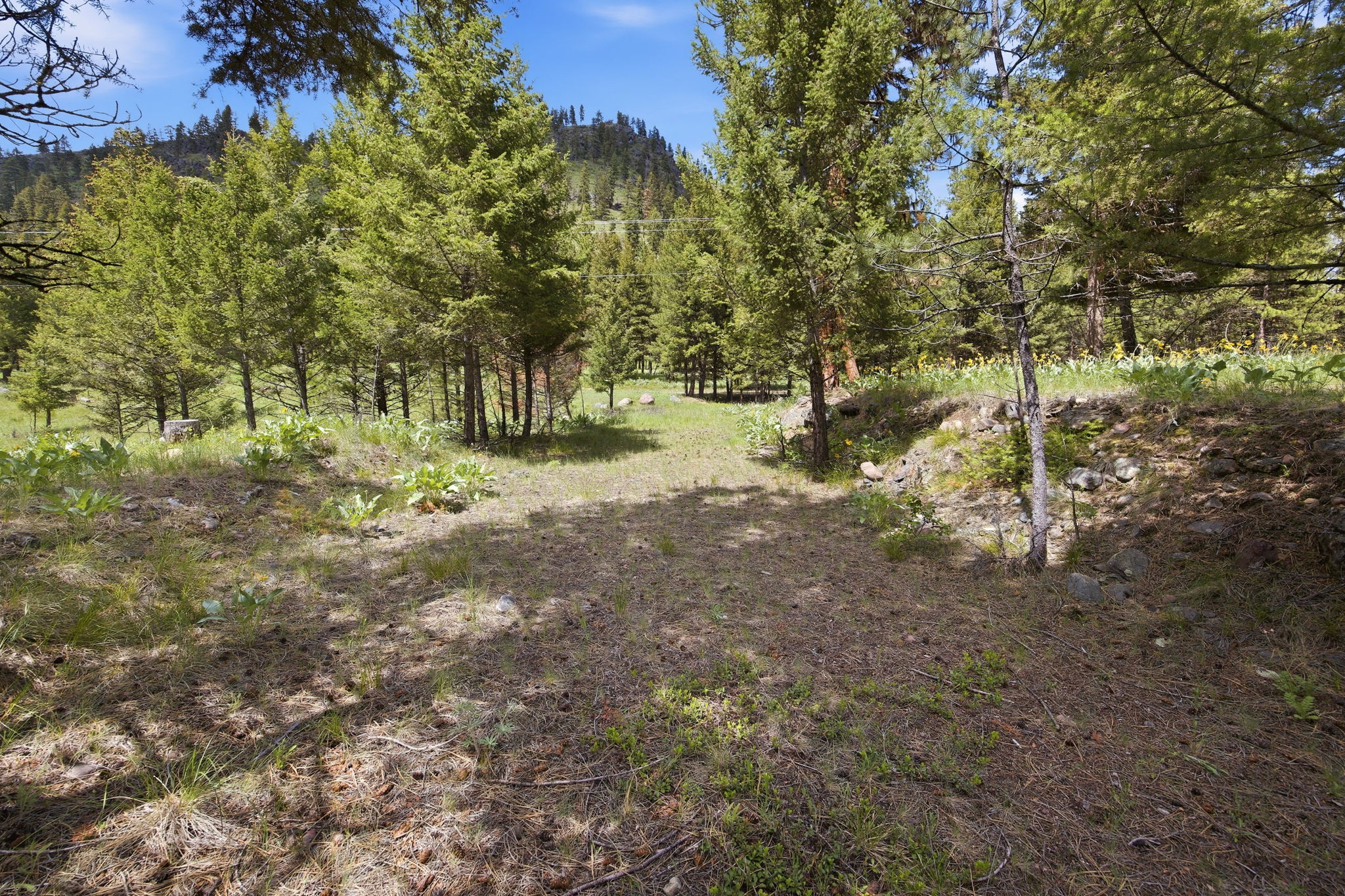 3 Big Waters Ranch Road Seeley Lake, MT 59868 - Photo 24 of 49 Gallery Image 24