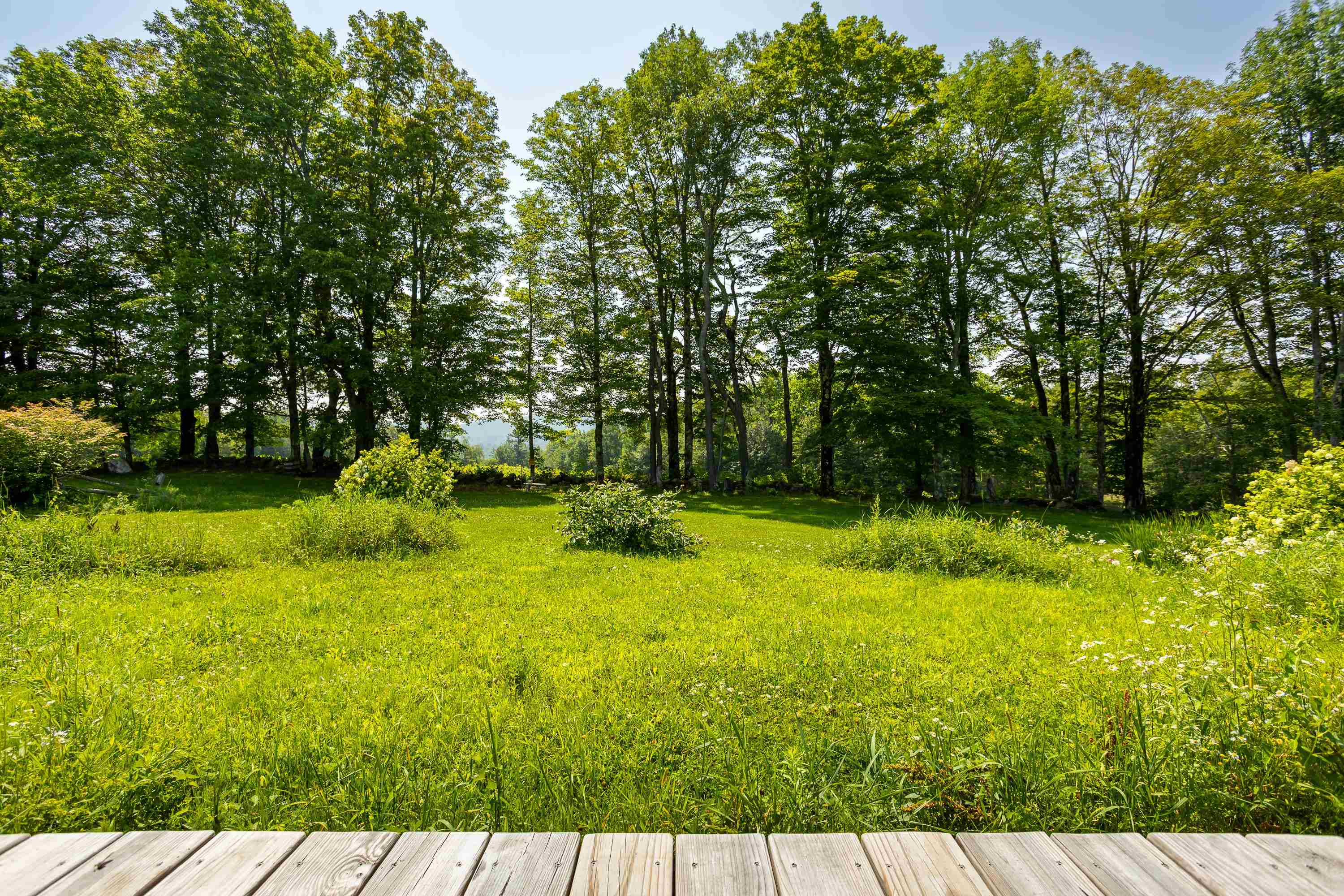 929 Packer Road Mount Holly, VT 05742 - Photo 37 of 48