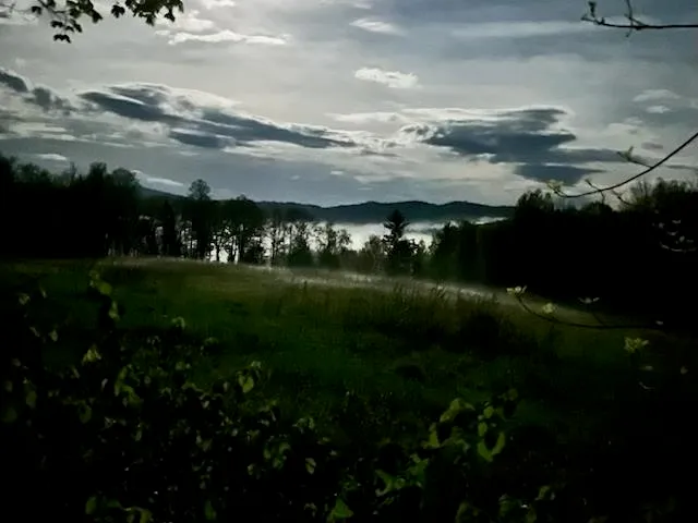 $465,000 | 929 Packer Road, Mount Holly, VT 05742