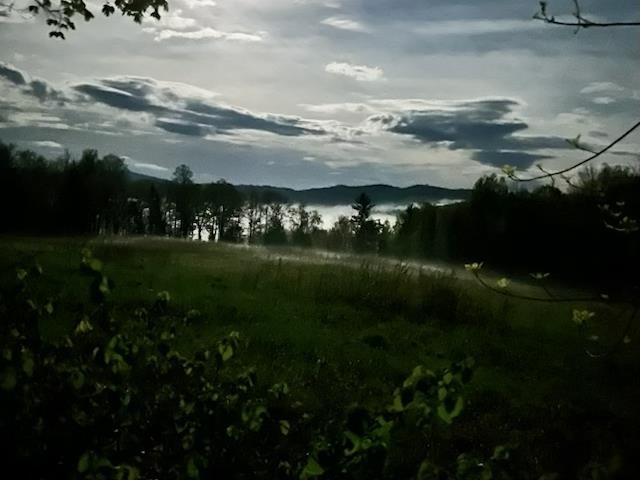 929 Packer Road Mount Holly, VT 05742 - Photo 40 of 48