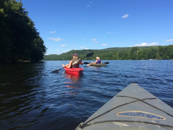 $465,000 | 929 Packer Road, Mount Holly, VT 05742