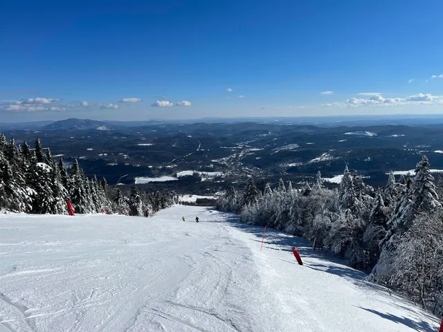 $465,000 | 929 Packer Road, Mount Holly, VT 05742