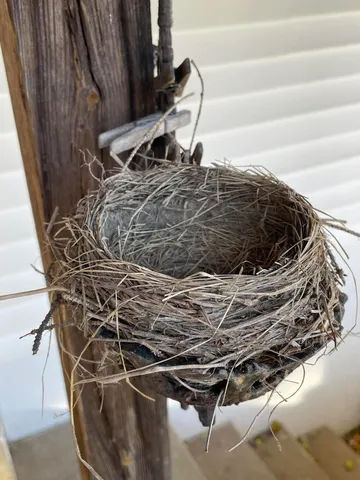 $349,900 | N5056 Highway 162, Bangor, WI 54614