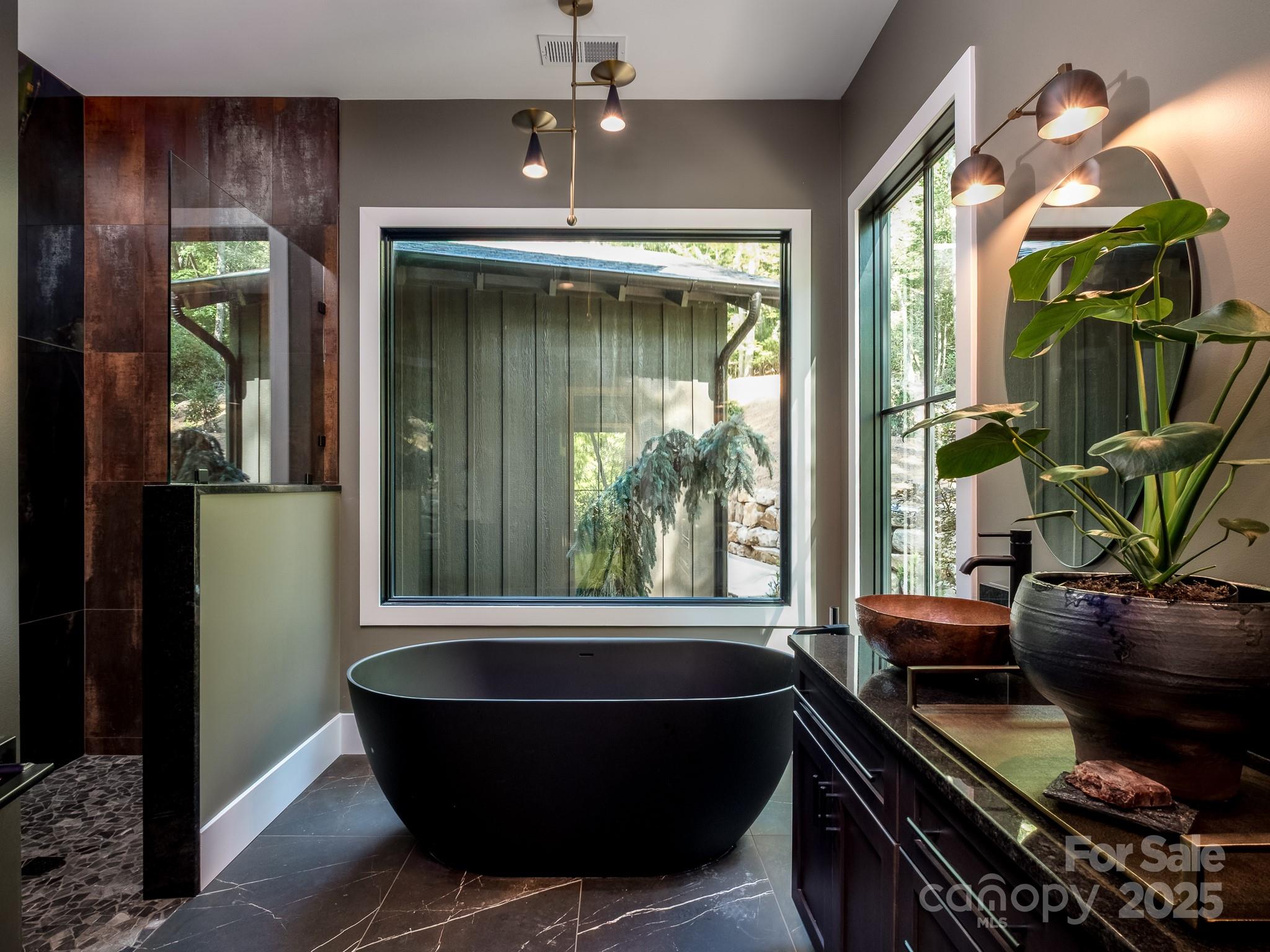 115 Rockbrook Overlook Brevard, NC 28712 - Photo 22 of 33 a room with furniture and a potted plant