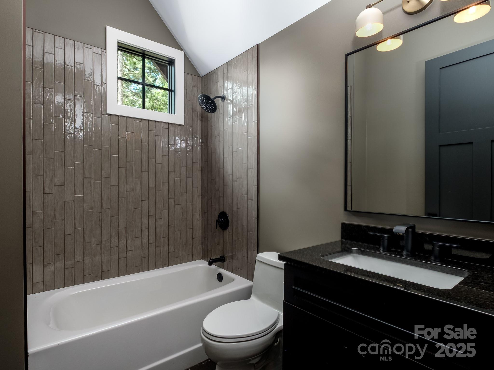 115 Rockbrook Overlook Brevard, NC 28712 - Photo 29 of 33 a bathroom with a sink a toilet and shower