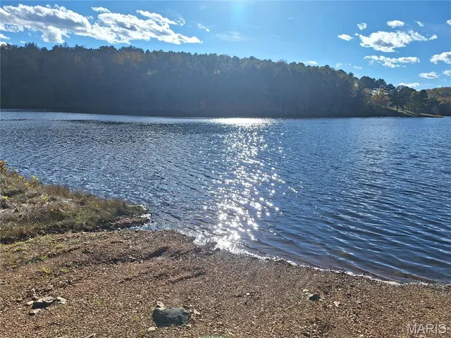 $79,800 | 4 Turkey Creek, Lowndes, MO 63951