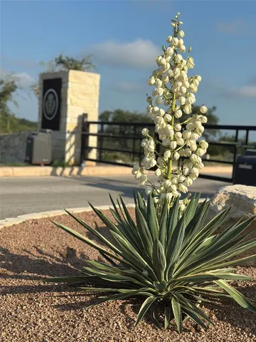 a vase of flowers sitting on a floor