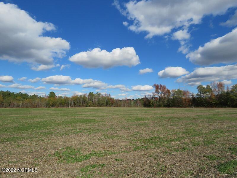 0 Lovette Road Lumberton, NC 28358 - Photo 28 of 39 IMG_6305