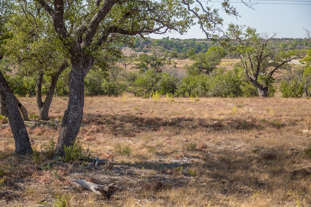 Tbd Tbd Other Center Point, TX 78010 - Photo 1 of 24 Main View