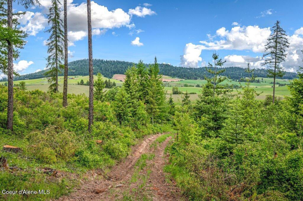 1 Freedom Way Road Plummer, ID 83851 - Photo 6 of 34 --39.jpg-SMALL