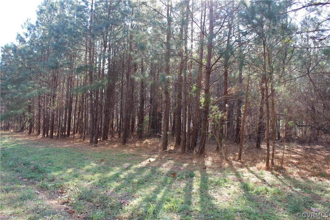 A Level Green Road Lancaster, VA 22503 - Photo 2 of 10 a backyard of a house with lots of green space