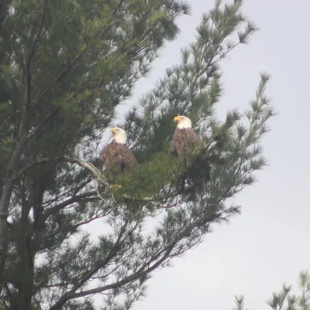 $499,000 | 38 Main Street, Lisbon Falls, ME 04252