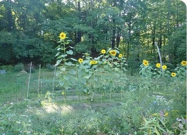 $499,000 | 38 Main Street, Lisbon Falls, ME 04252