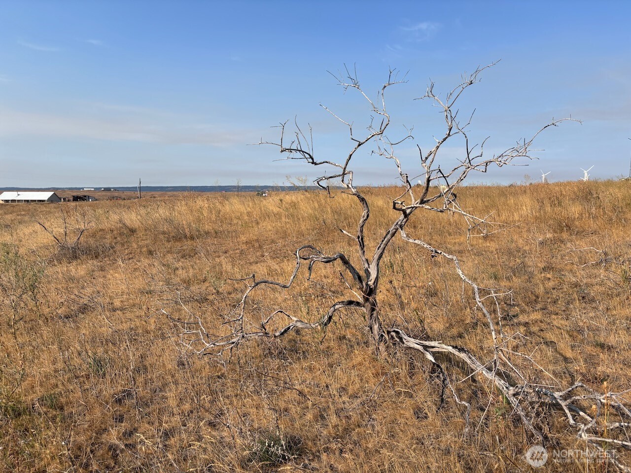 6440 Ellensburg Ranches Road Ellensburg, WA 98926 - Photo 12 of 14