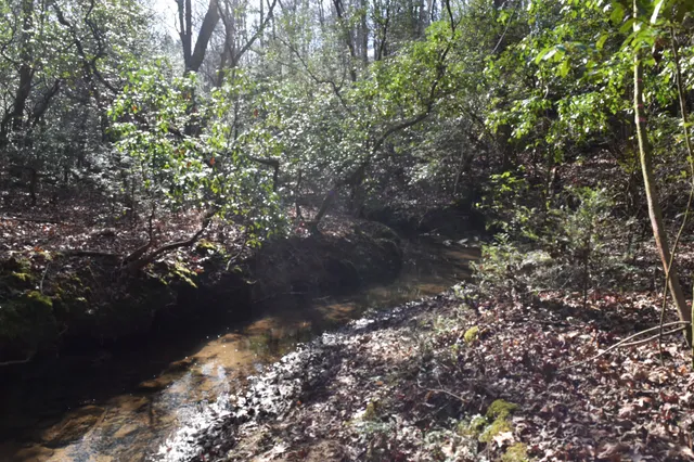 $100,300 | 305 Timberwood Trace, Monteagle, TN 37356