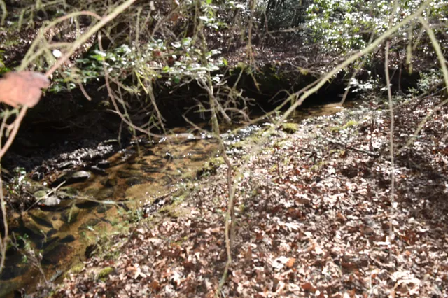 $100,300 | 305 Timberwood Trace, Monteagle, TN 37356